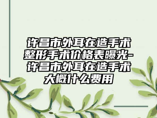 许昌市外耳在造手术整形手术价格表曝光-许昌市外耳在造手术大概什么费用