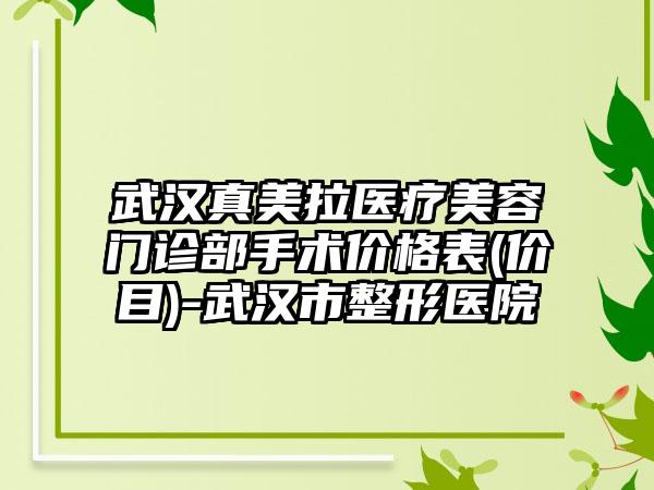 武汉真美拉医疗美容门诊部手术价格表(价目)-武汉市整形医院