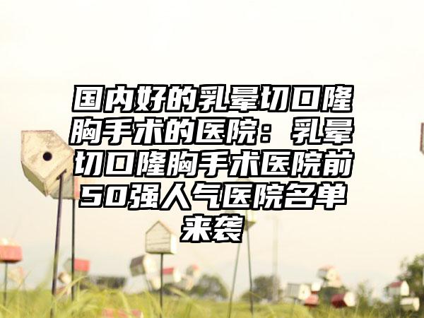 国内好的乳晕切口隆胸手术的医院：乳晕切口隆胸手术医院前50强人气医院名单来袭