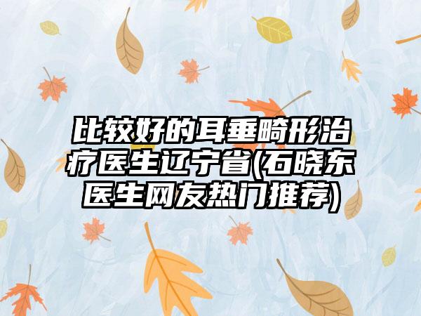 比较好的耳垂畸形治疗医生辽宁省(石晓东医生网友热门推荐)