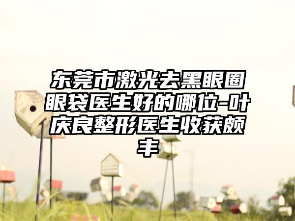 东莞市激光去黑眼圈眼袋医生好的哪位-叶庆良整形医生收获颇丰