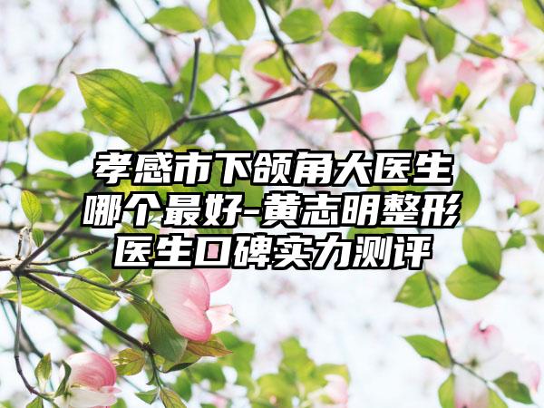 孝感市下颌角大医生哪个最好-黄志明整形医生口碑实力测评