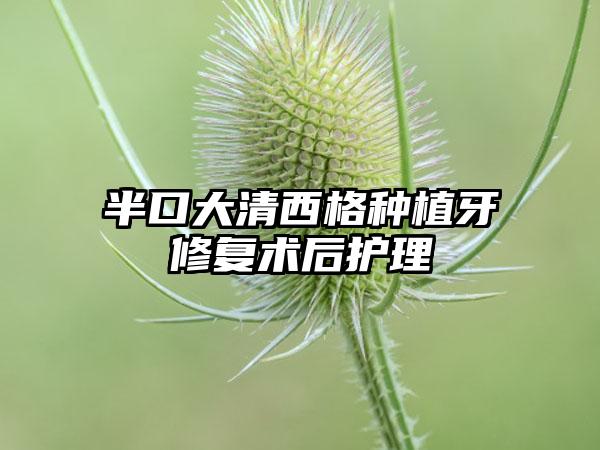 半口大清西格种植牙修复术后护理