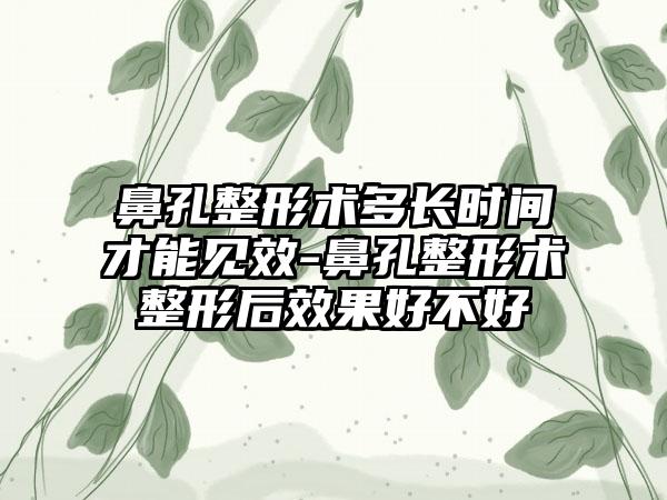 鼻孔整形术多长时间才能见效-鼻孔整形术整形后效果好不好