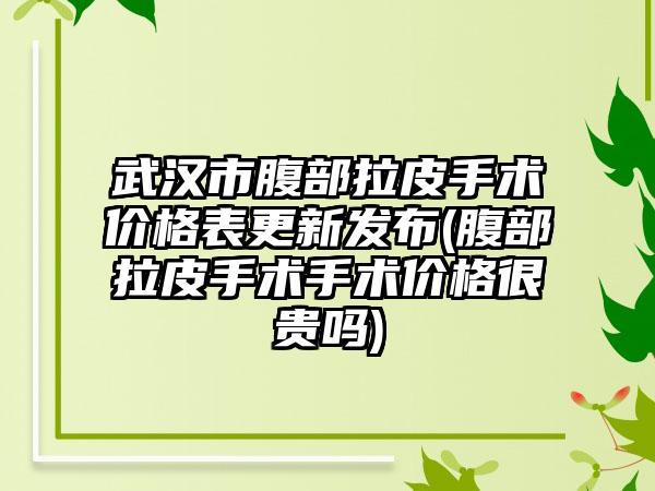 武汉市腹部拉皮手术价格表更新发布(腹部拉皮手术手术价格很贵吗)