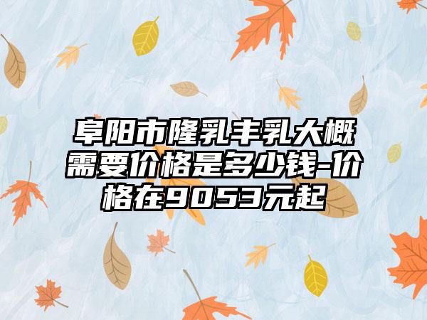 阜阳市隆乳丰乳大概需要价格是多少钱-价格在9053元起