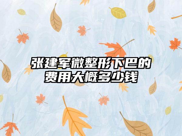 张建军微整形下巴的费用大概多少钱