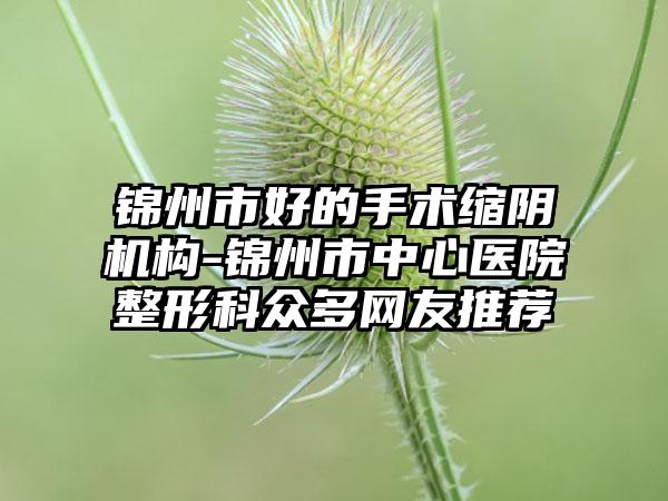 锦州市好的手术缩阴机构-锦州市中心医院整形科众多网友推荐