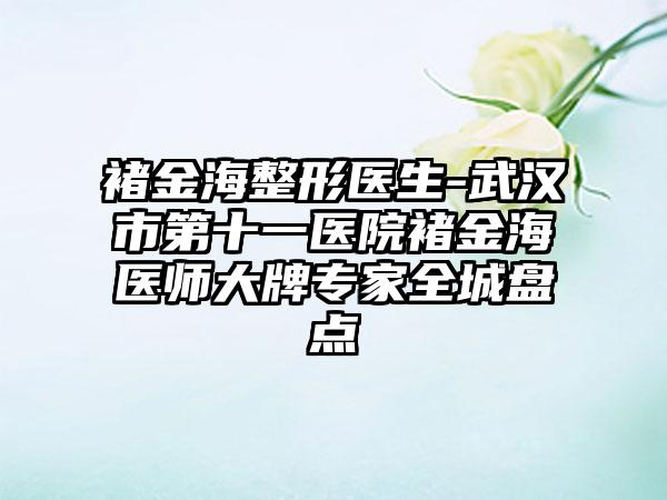 褚金海整形医生-武汉市第十一医院褚金海医师大牌专家全城盘点