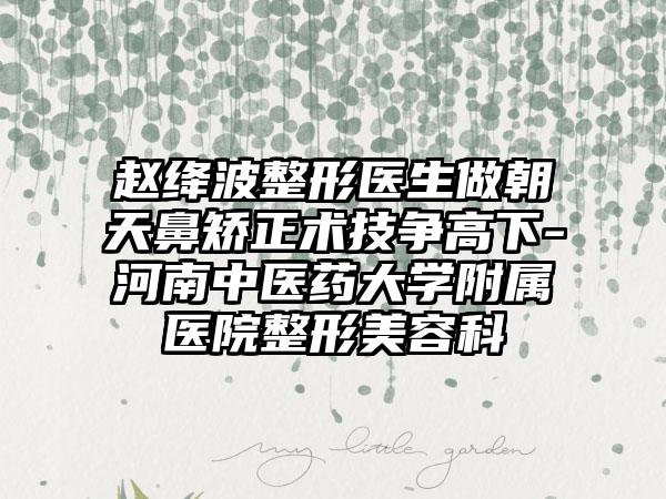 赵绛波整形医生做朝天鼻矫正术技争高下-河南中医药大学附属医院整形美容科