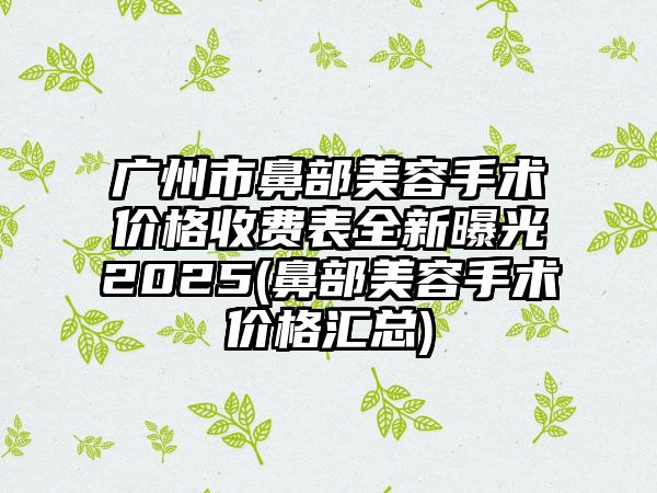 广州市鼻部美容手术价格收费表全新曝光2025(鼻部美容手术价格汇总)