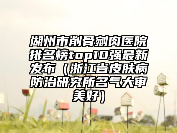 湖州市削骨剜肉医院排名榜top10强最新发布（浙江省皮肤病防治研究所名气大审美好）
