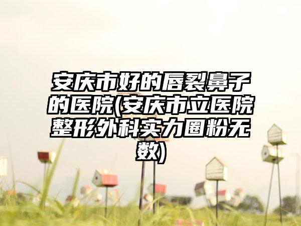 安庆市好的唇裂鼻子的医院(安庆市立医院整形外科实力圈粉无数)
