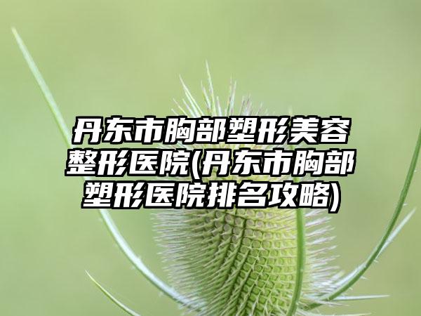 丹东市胸部塑形美容整形医院(丹东市胸部塑形医院排名攻略)
