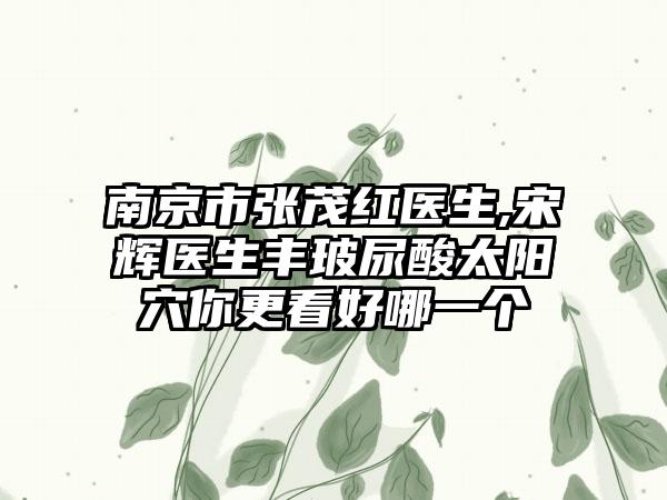 南京市张茂红医生,宋辉医生丰玻尿酸太阳穴你更看好哪一个