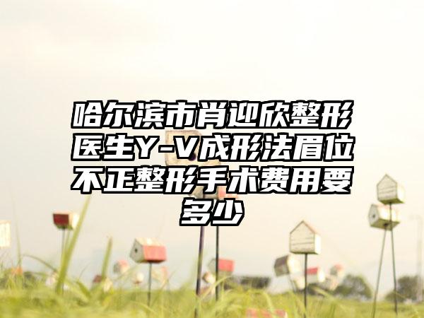 哈尔滨市肖迎欣整形医生Y-V成形法眉位不正整形手术费用要多少