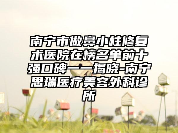 南宁市做鼻小柱修复术医院在榜名单前十强口碑一一揭晓-南宁思瑞医疗美容外科诊所