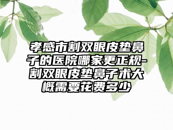 孝感市割双眼皮垫鼻子的医院哪家更正规-割双眼皮垫鼻子术大概需要花费多少