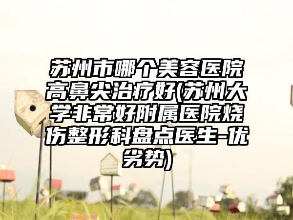 苏州市哪个美容医院高鼻尖治疗好(苏州大学非常好附属医院烧伤整形科盘点医生-优劣势)