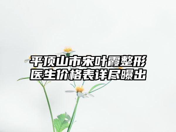 平顶山市宋叶霞整形医生价格表详尽曝出