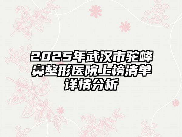 2025年武汉市驼峰鼻整形医院上榜清单详情分析