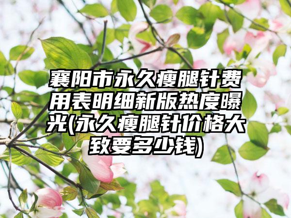 襄阳市永久瘦腿针费用表明细新版热度曝光(永久瘦腿针价格大致要多少钱)