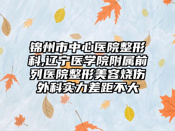 锦州市中心医院整形科,辽宁医学院附属前列医院整形美容烧伤外科实力差距不大