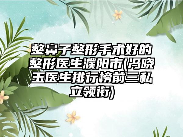 整鼻子整形手术好的整形医生濮阳市(冯晓玉医生排行榜前三私立领衔)