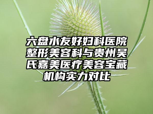 六盘水友好妇科医院整形美容科与贵州吴氏嘉美医疗美容宝藏机构实力对比