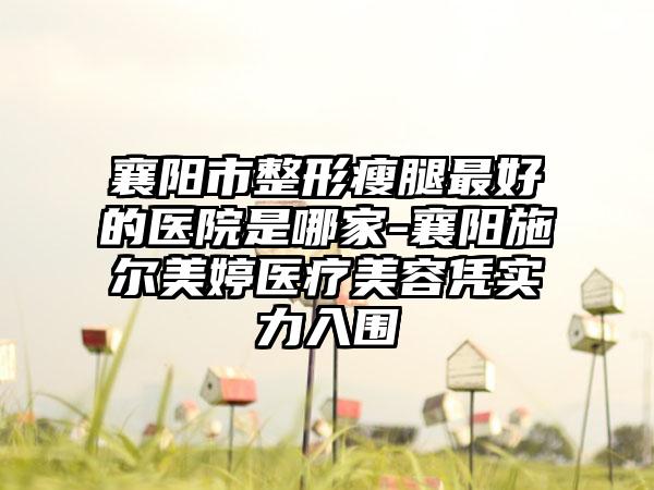 襄阳市整形瘦腿最好的医院是哪家-襄阳施尔美婷医疗美容凭实力入围