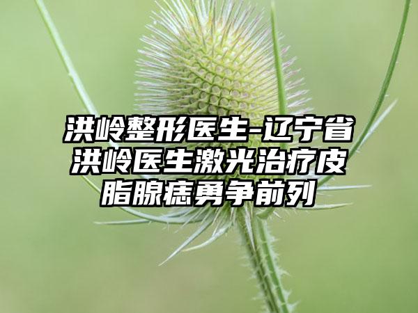 洪岭整形医生-辽宁省洪岭医生激光治疗皮脂腺痣勇争前列