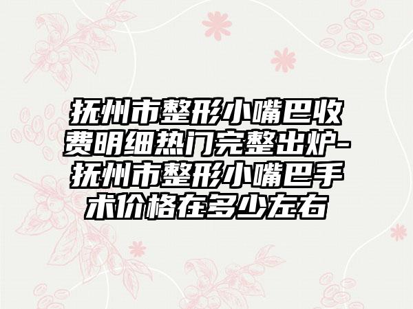 抚州市整形小嘴巴收费明细热门完整出炉-抚州市整形小嘴巴手术价格在多少左右