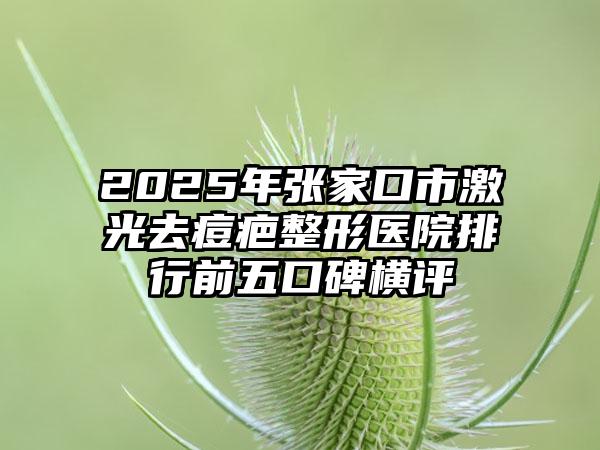 2025年张家口市激光去痘疤整形医院排行前五口碑横评