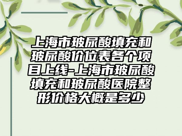 上海市玻尿酸填充和玻尿酸价位表各个项目上线-上海市玻尿酸填充和玻尿酸医院整形价格大概是多少
