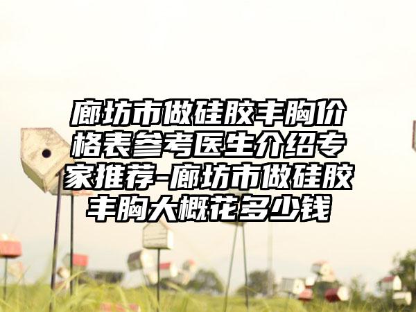 廊坊市做硅胶丰胸价格表参考医生介绍专家推荐-廊坊市做硅胶丰胸大概花多少钱