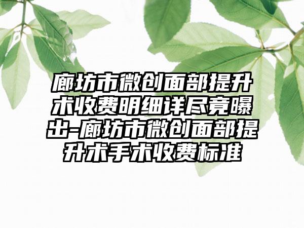 廊坊市微创面部提升术收费明细详尽竟曝出-廊坊市微创面部提升术手术收费标准