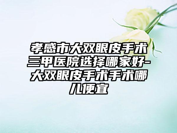 孝感市大双眼皮手术三甲医院选择哪家好-大双眼皮手术手术哪儿便宜