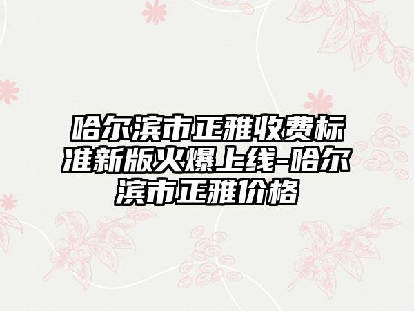 哈尔滨市正雅收费标准新版火爆上线-哈尔滨市正雅价格