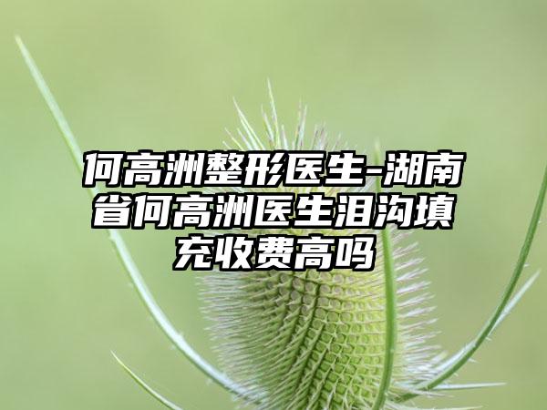 何高洲整形医生-湖南省何高洲医生泪沟填充收费高吗