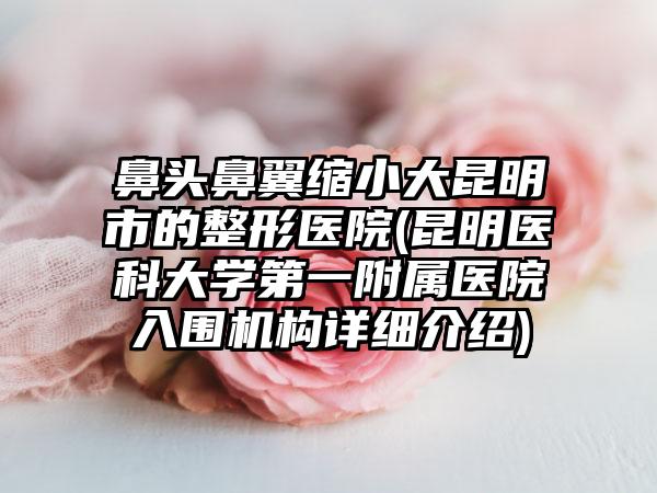 鼻头鼻翼缩小大昆明市的整形医院(昆明医科大学第一附属医院入围机构详细介绍)