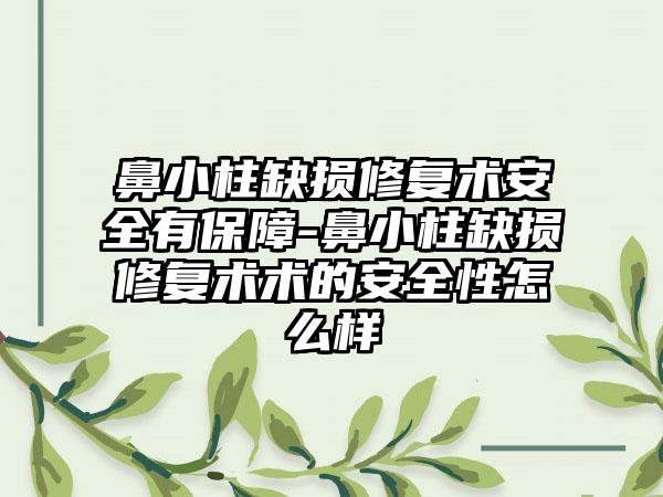 鼻小柱缺损修复术安全有保障-鼻小柱缺损修复术术的安全性怎么样