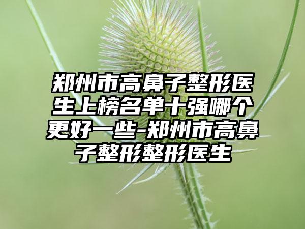 郑州市高鼻子整形医生上榜名单十强哪个更好一些-郑州市高鼻子整形整形医生