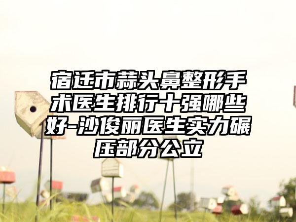 宿迁市蒜头鼻整形手术医生排行十强哪些好-沙俊丽医生实力碾压部分公立