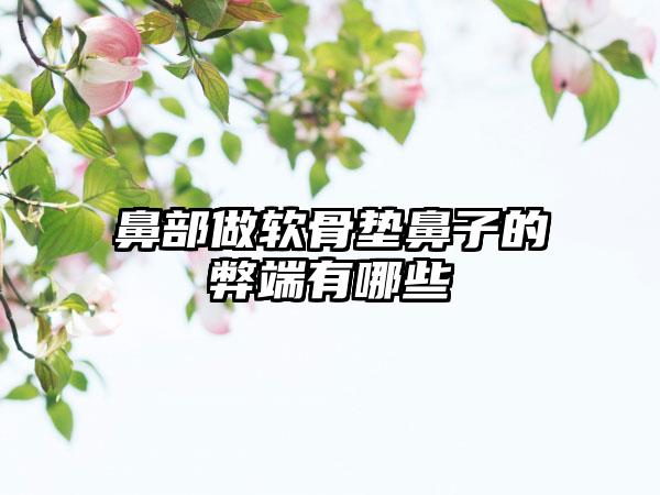 鼻部做软骨垫鼻子的弊端有哪些