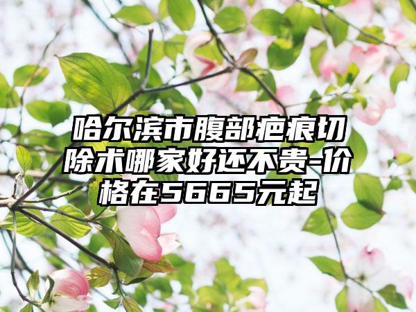哈尔滨市腹部疤痕切除术哪家好还不贵-价格在5665元起