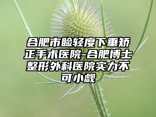 合肥市睑轻度下垂矫正手术医院-合肥博士整形外科医院实力不可小觑