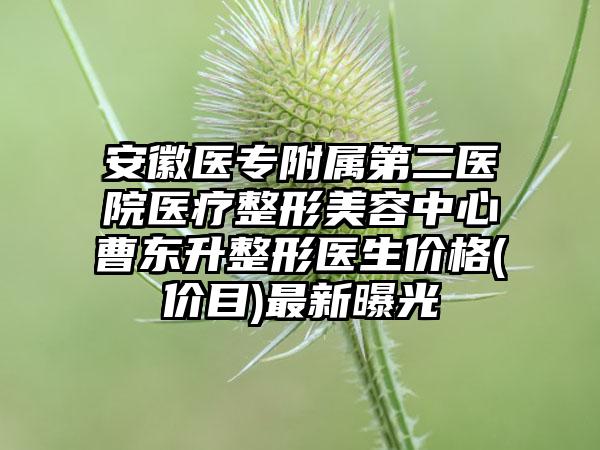 安徽医专附属第二医院医疗整形美容中心曹东升整形医生价格(价目)最新曝光