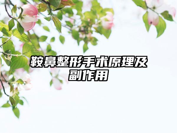鞍鼻整形手术原理及副作用