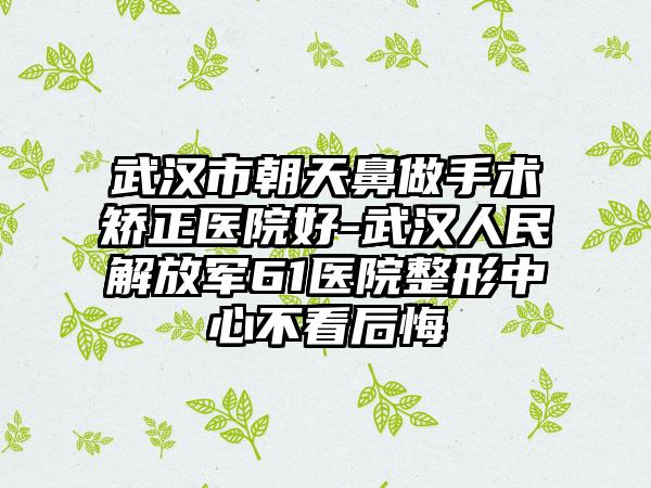 武汉市朝天鼻做手术矫正医院好-武汉人民解放军61医院整形中心不看后悔