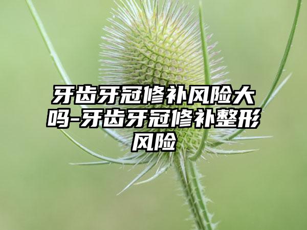 牙齿牙冠修补风险大吗-牙齿牙冠修补整形风险